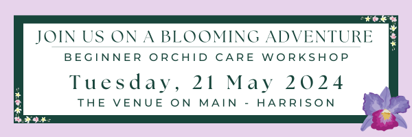 Orchid Care Workshop Header.png